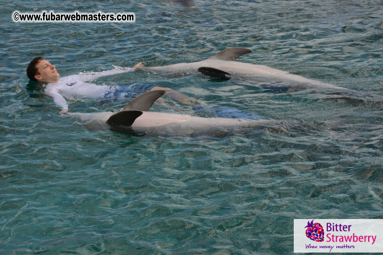 WireCard Dolphin Swim