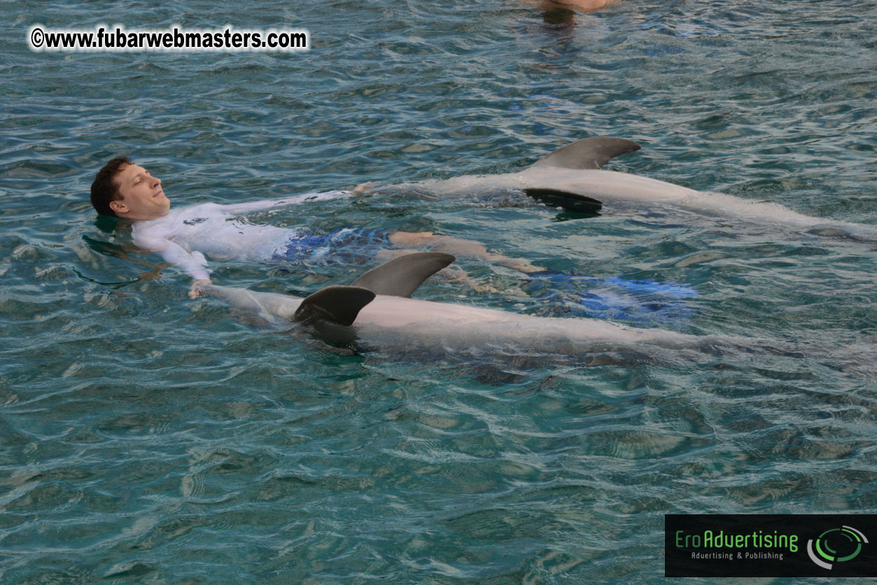 WireCard Dolphin Swim