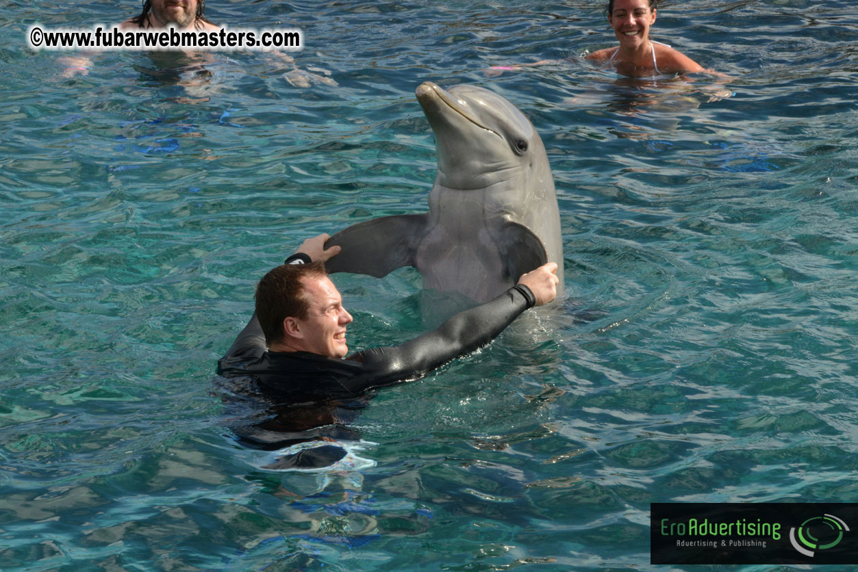 WireCard Dolphin Swim