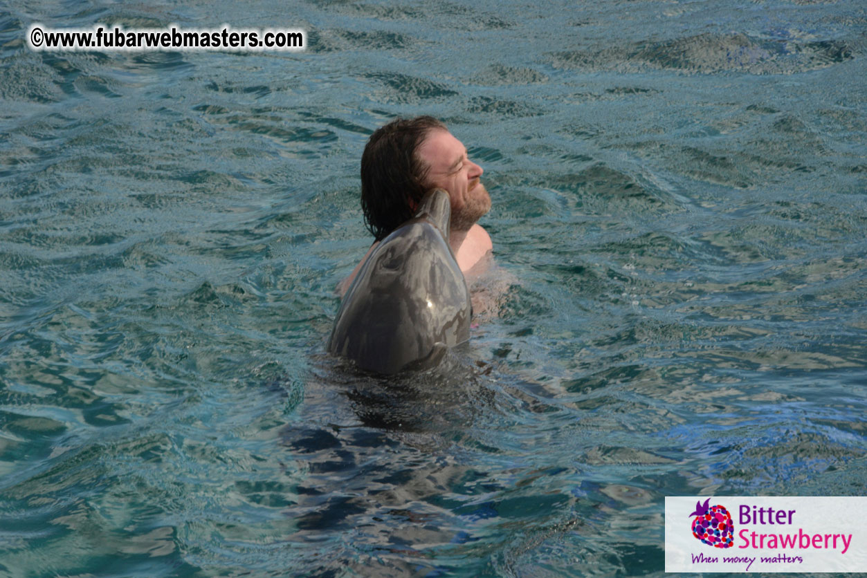 WireCard Dolphin Swim