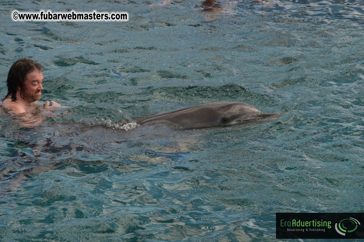 WireCard Dolphin Swim
