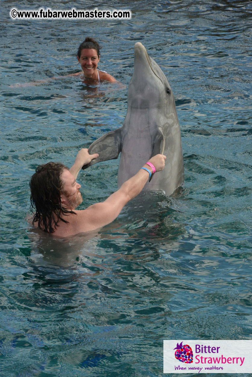 WireCard Dolphin Swim