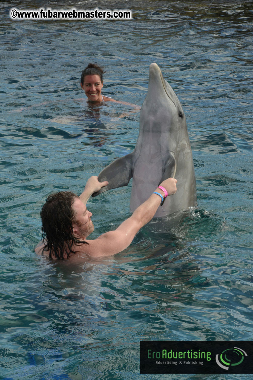 WireCard Dolphin Swim