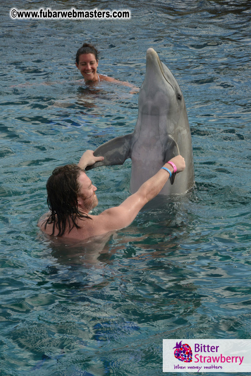 WireCard Dolphin Swim