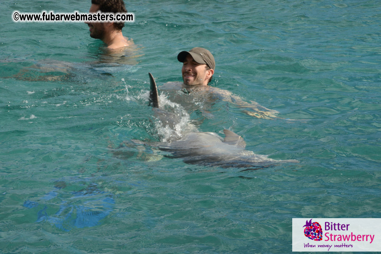 WireCard Dolphin Swim