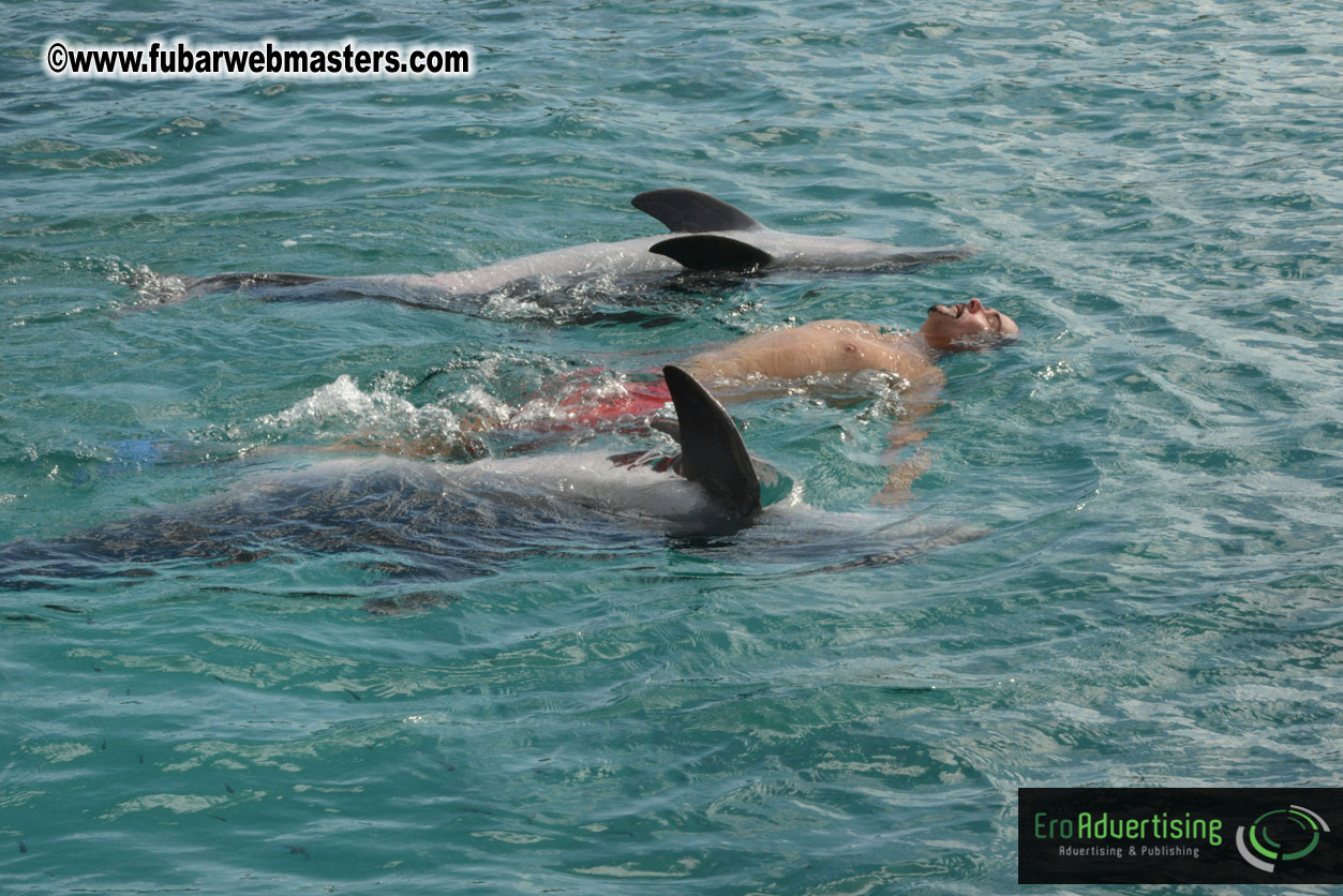 WireCard Dolphin Swim