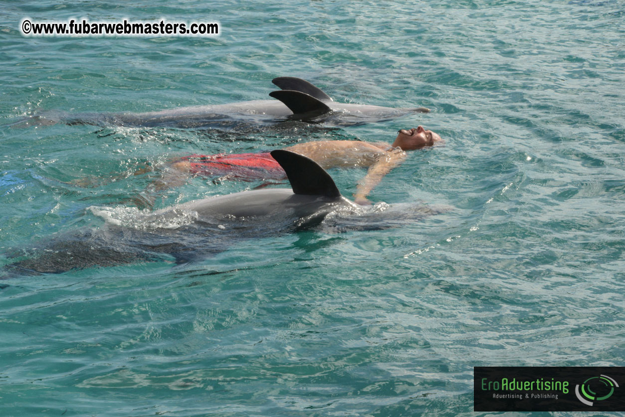 WireCard Dolphin Swim