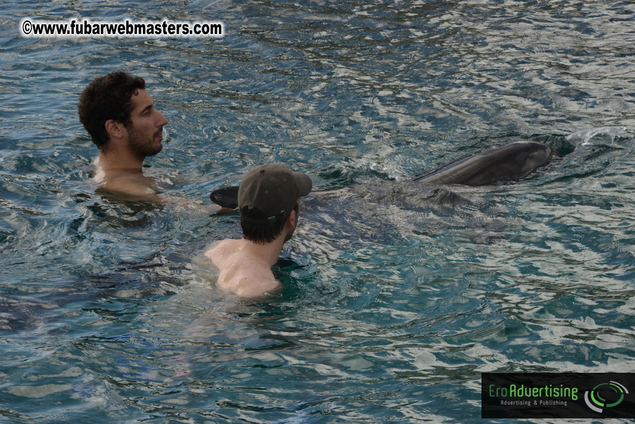 WireCard Dolphin Swim