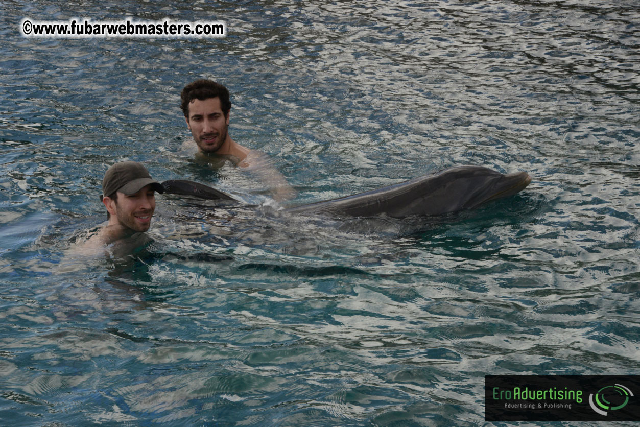 WireCard Dolphin Swim