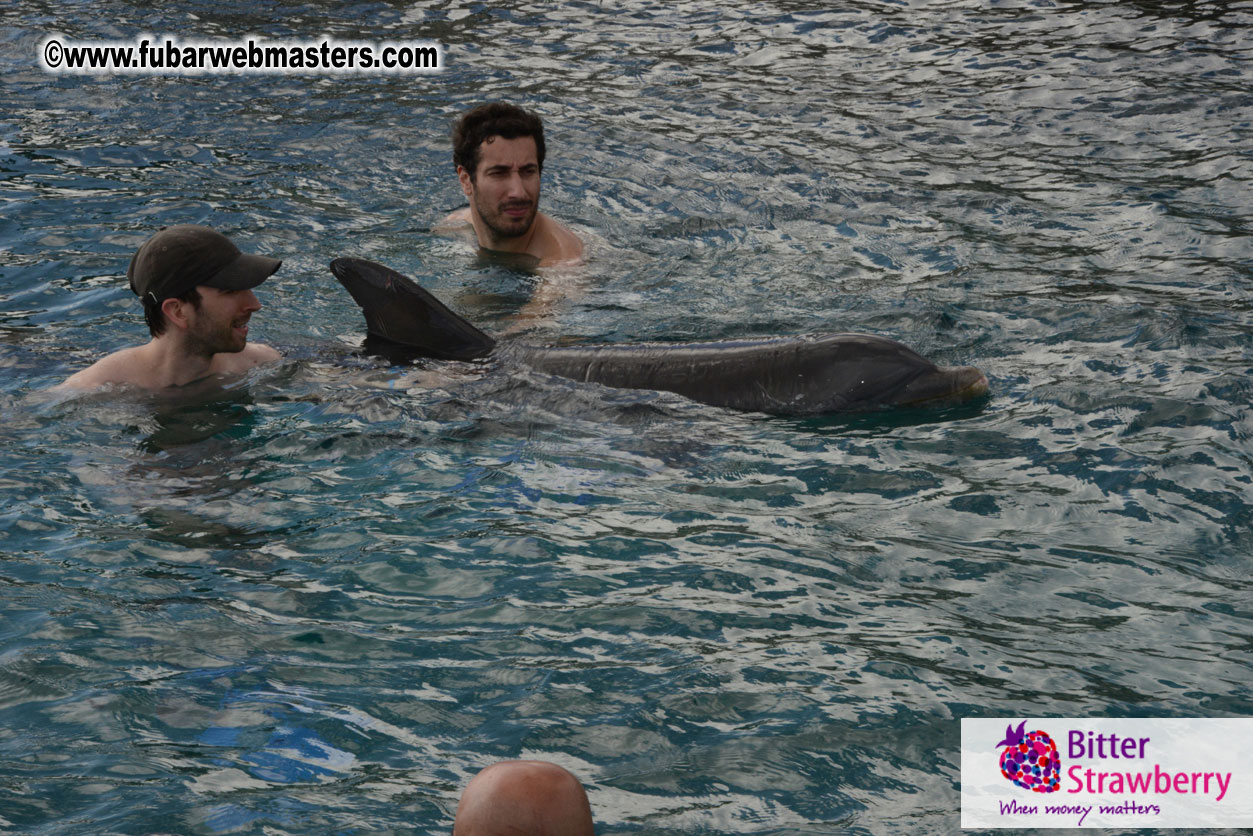 WireCard Dolphin Swim