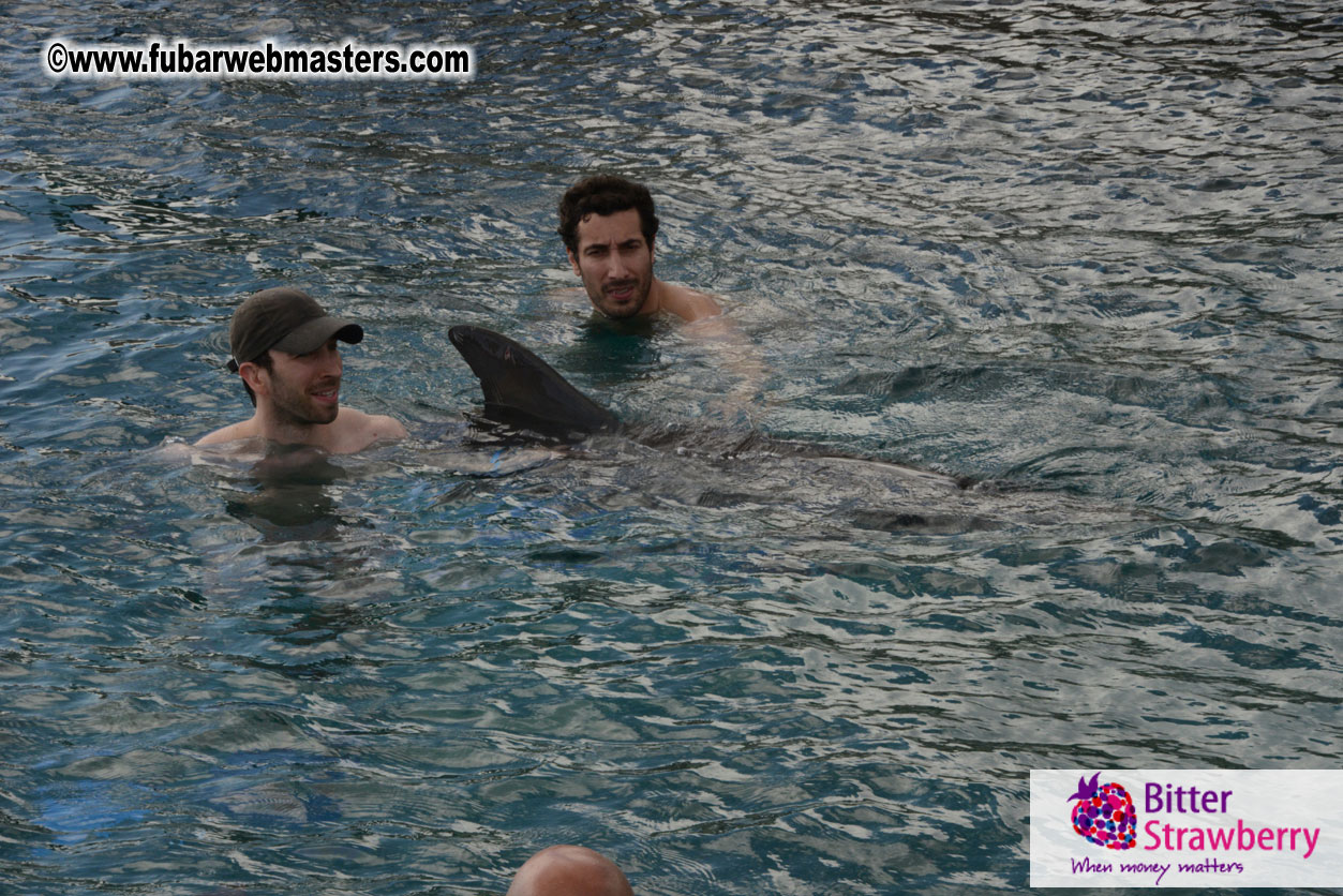 WireCard Dolphin Swim