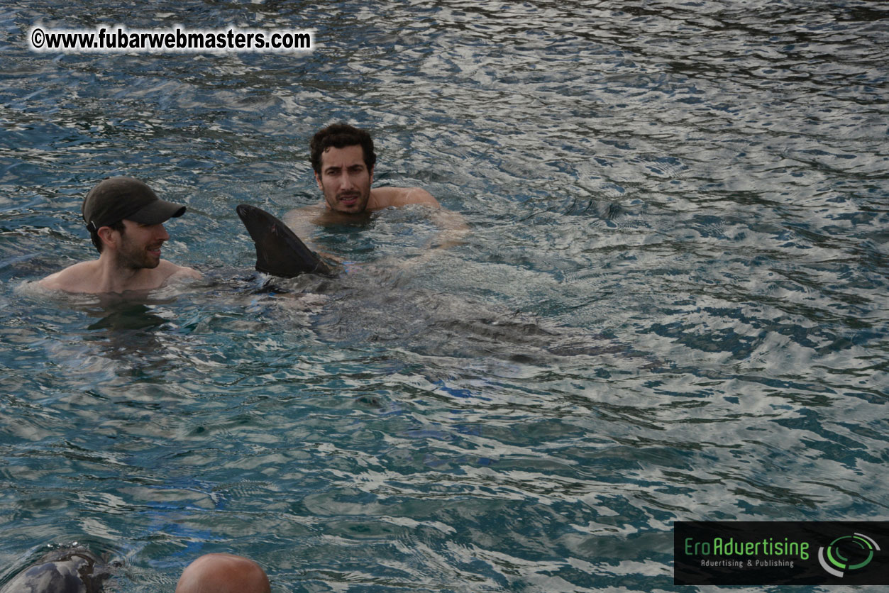 WireCard Dolphin Swim