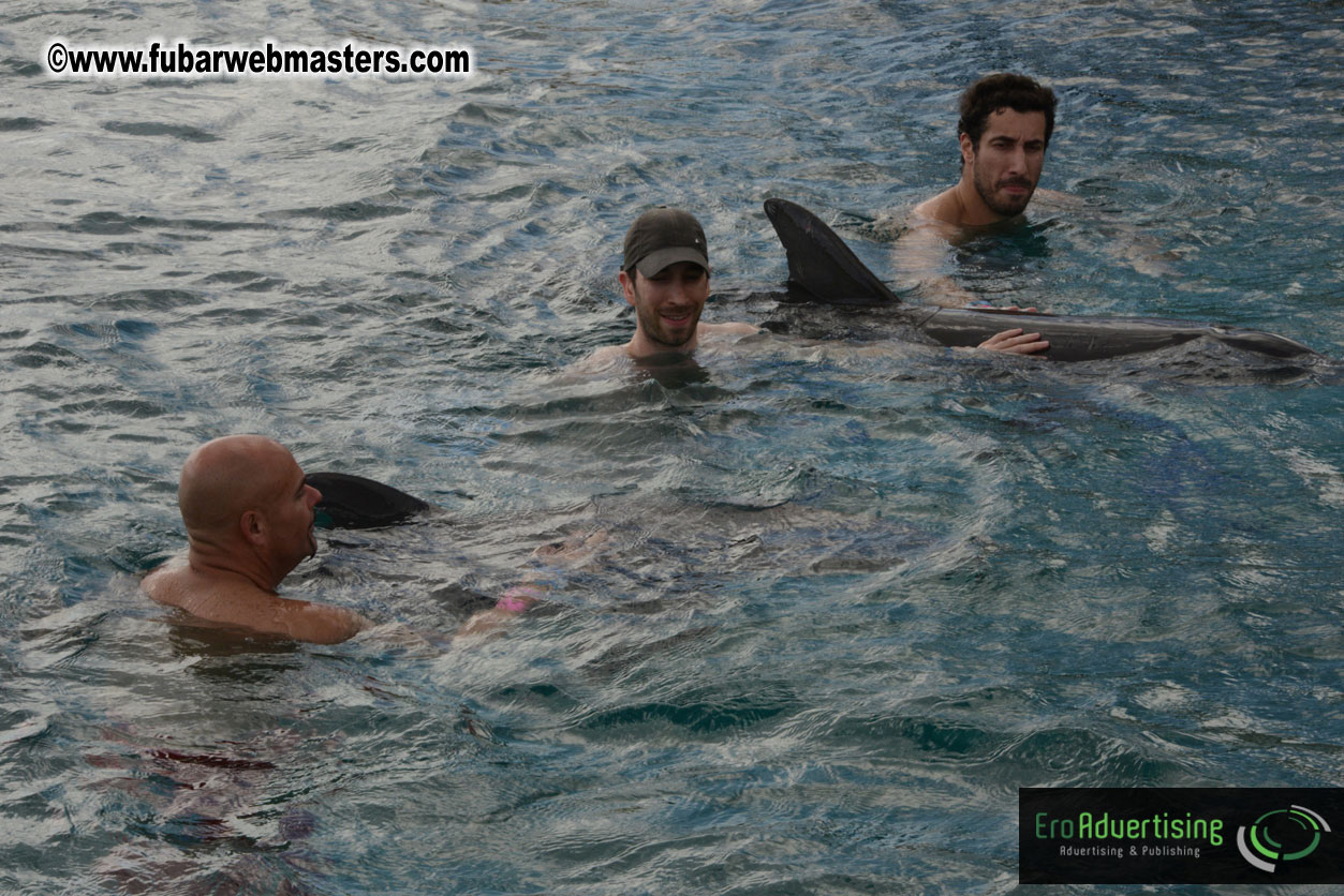 WireCard Dolphin Swim