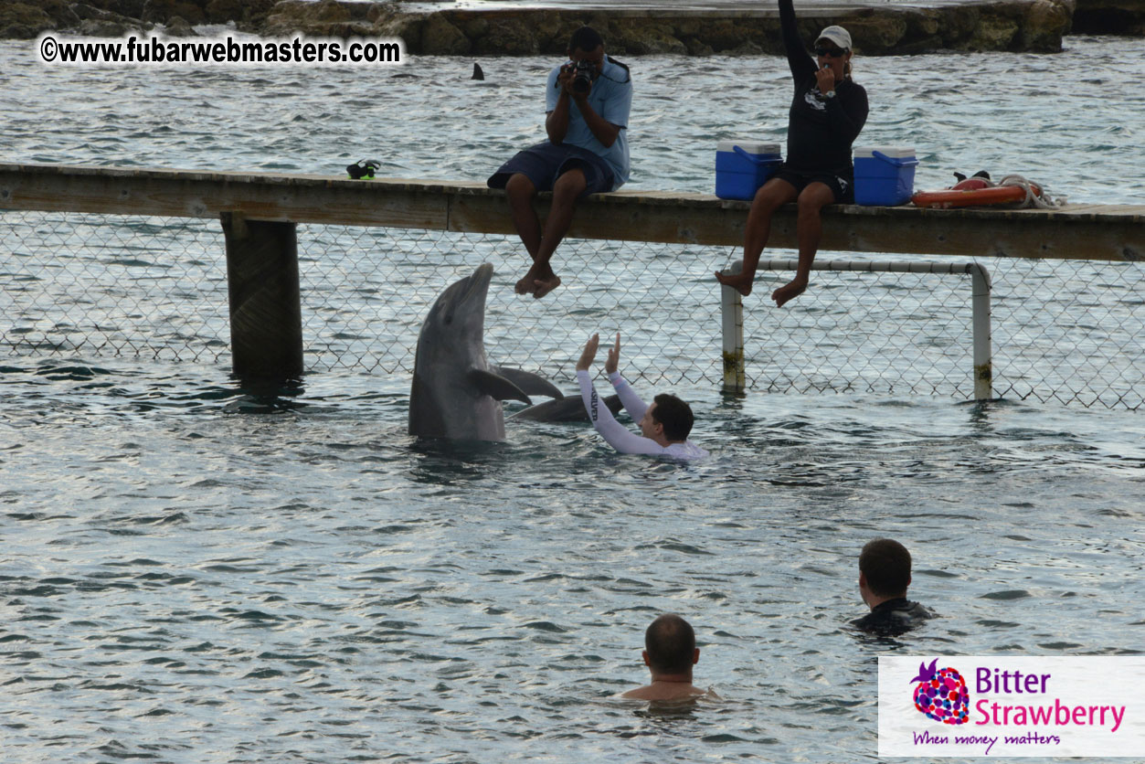 WireCard Dolphin Swim