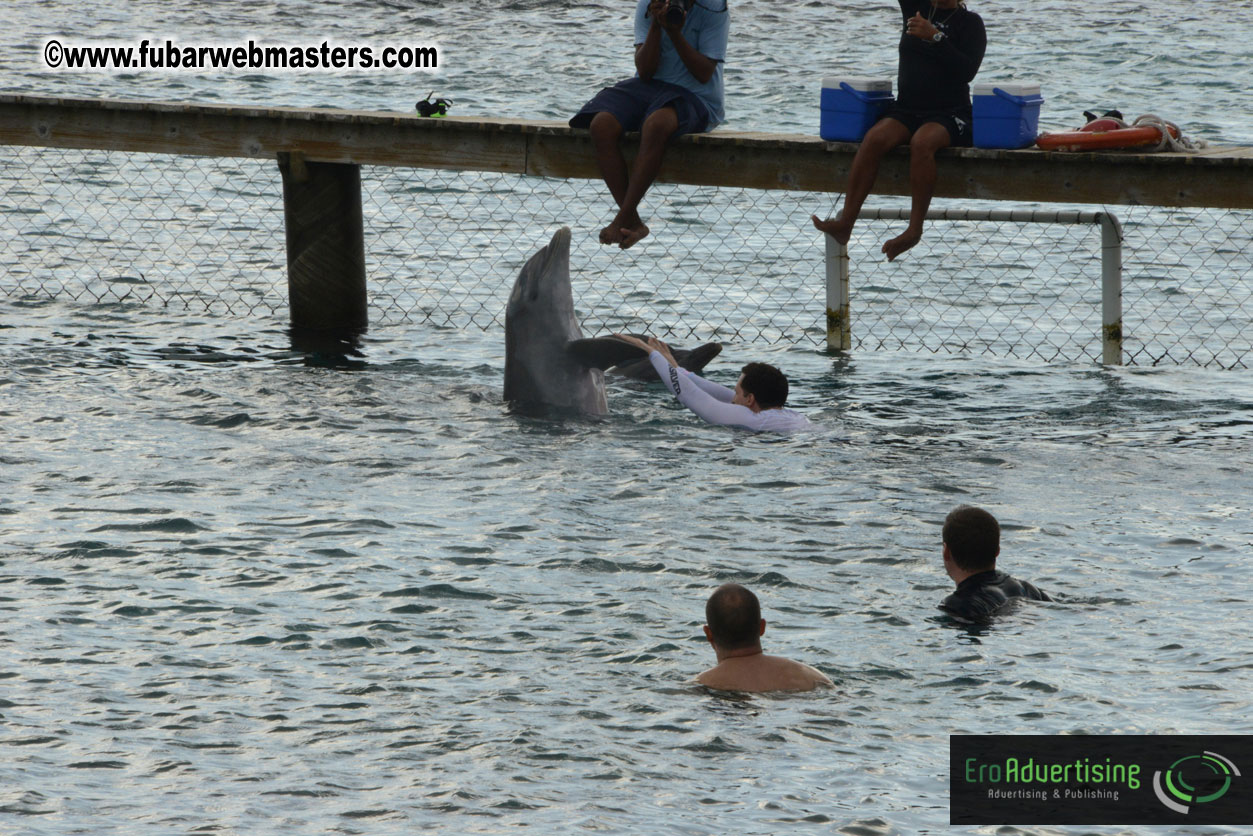 WireCard Dolphin Swim