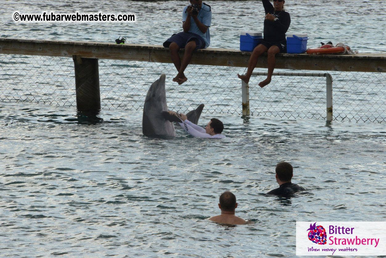 WireCard Dolphin Swim