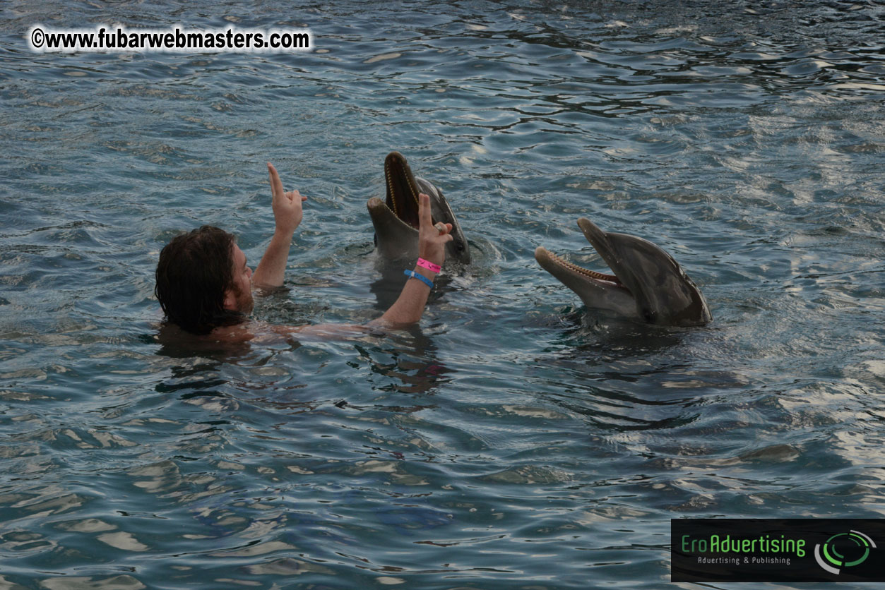 WireCard Dolphin Swim