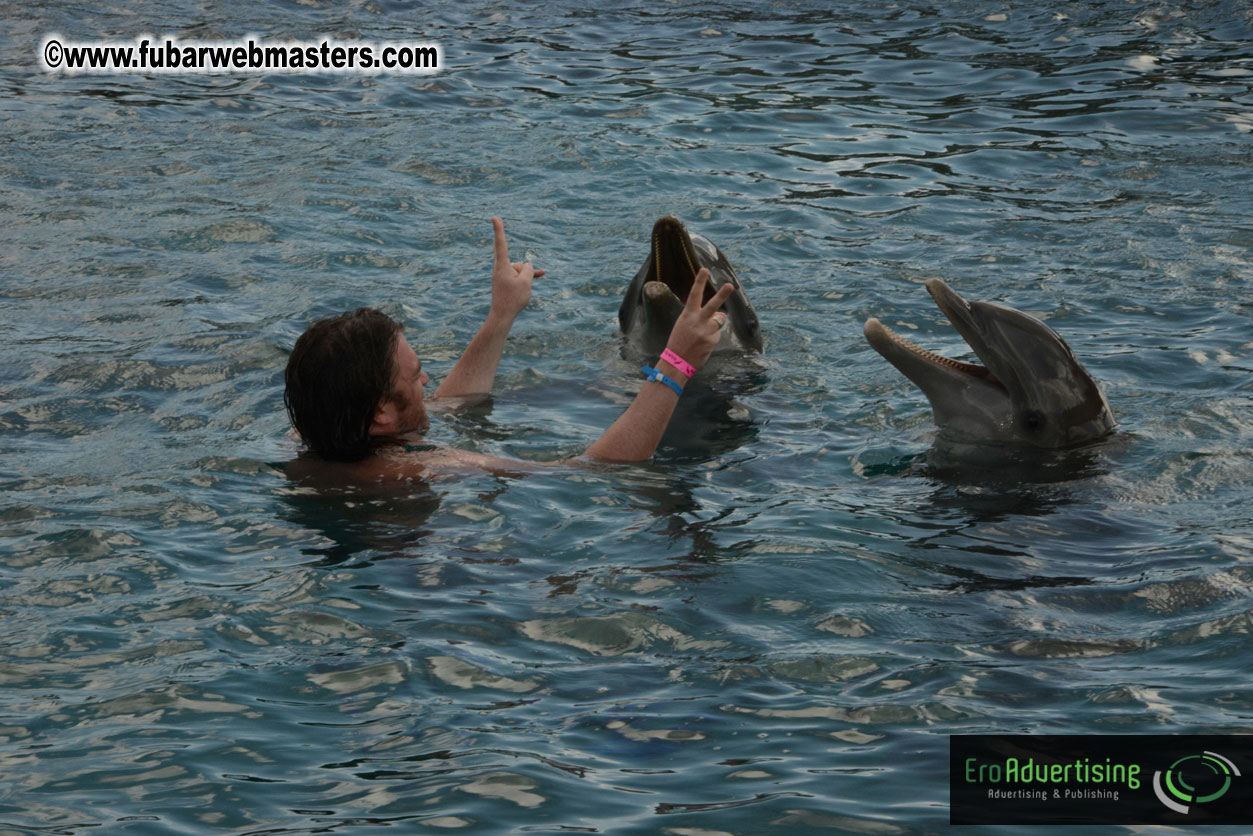 WireCard Dolphin Swim