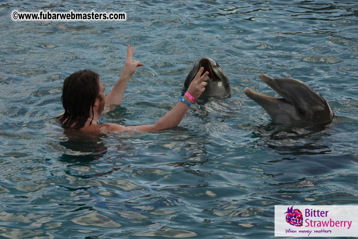 WireCard Dolphin Swim