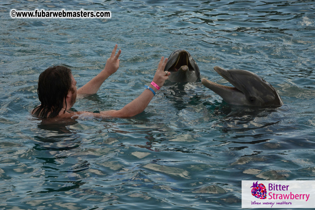 WireCard Dolphin Swim