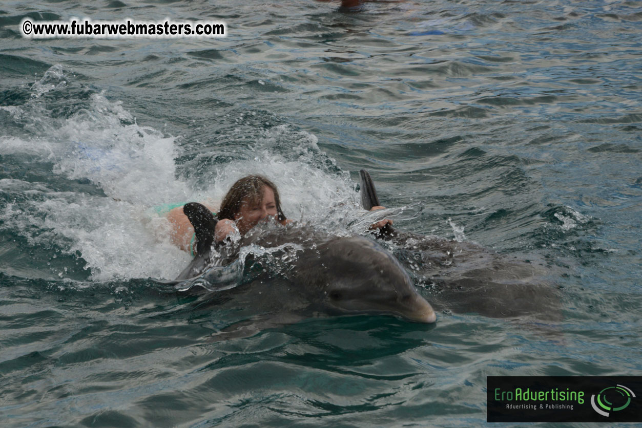 WireCard Dolphin Swim