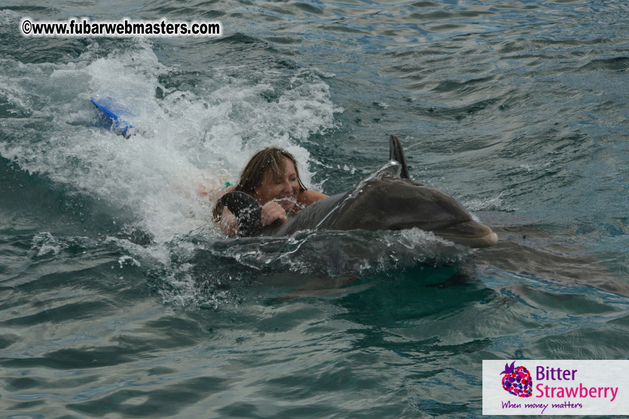 WireCard Dolphin Swim