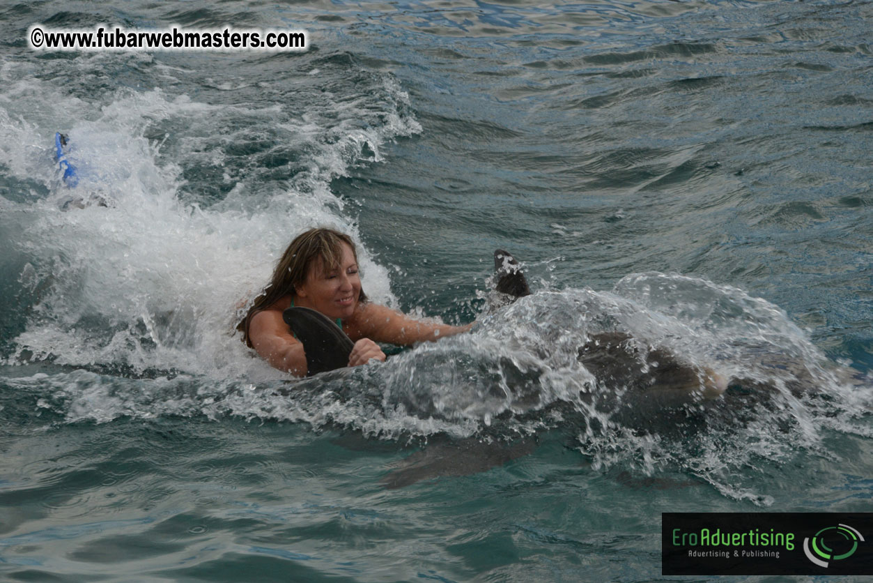 WireCard Dolphin Swim