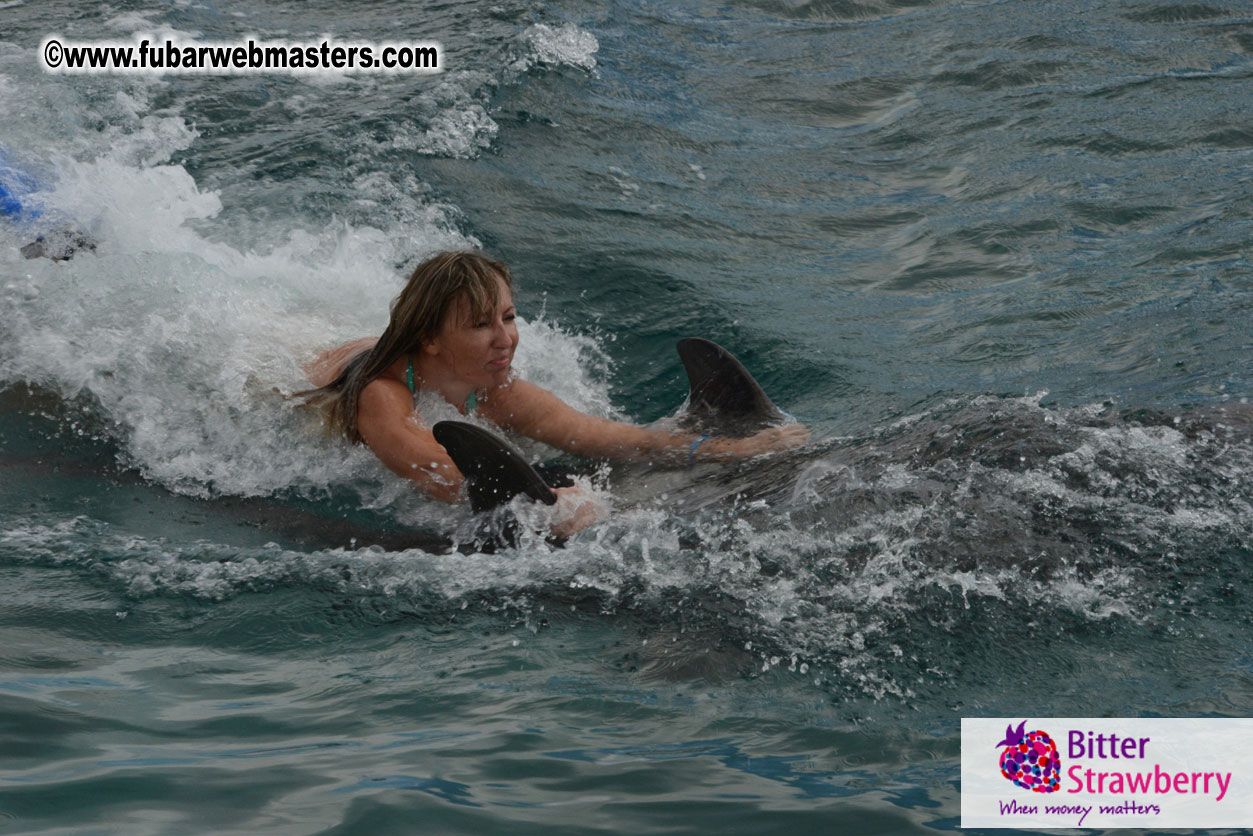 WireCard Dolphin Swim