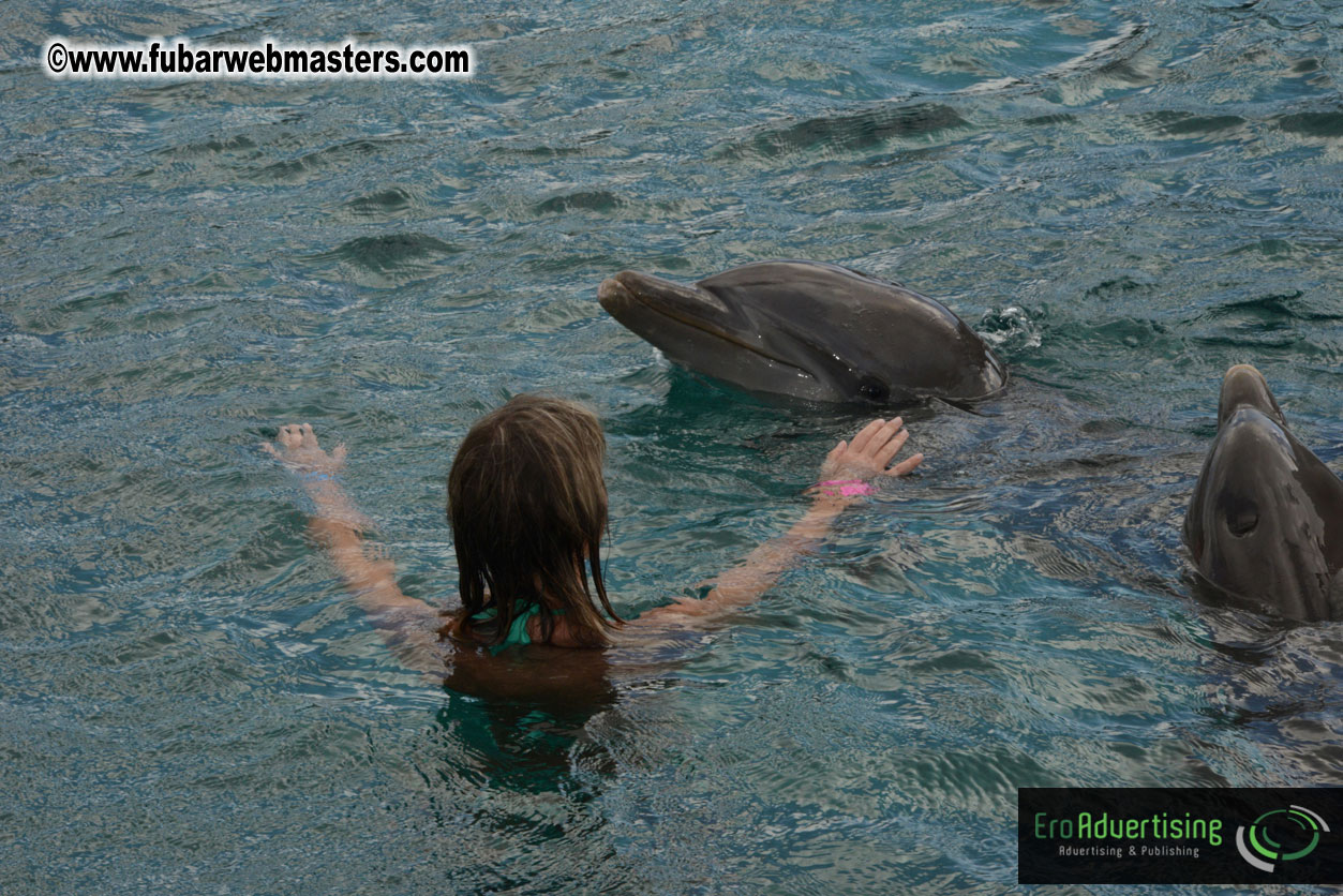 WireCard Dolphin Swim