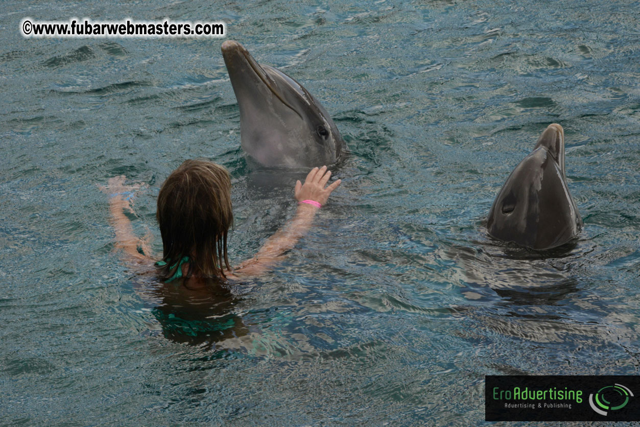 WireCard Dolphin Swim