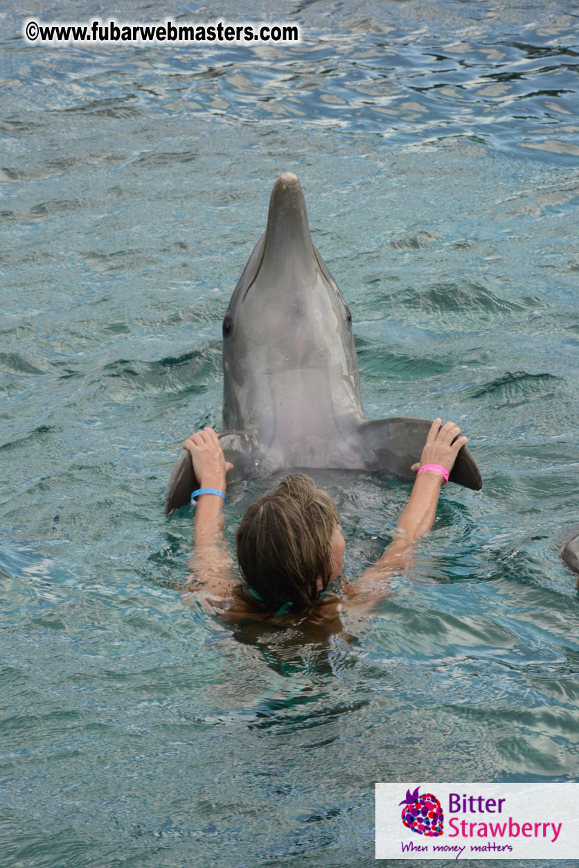 WireCard Dolphin Swim