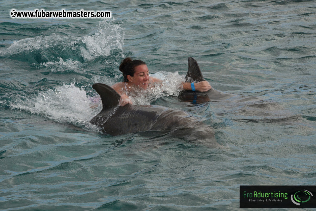 WireCard Dolphin Swim