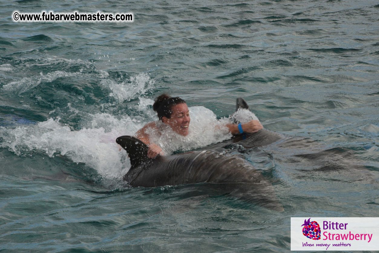 WireCard Dolphin Swim