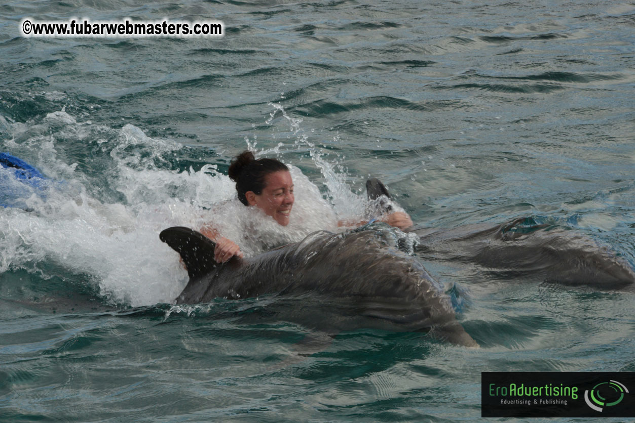 WireCard Dolphin Swim