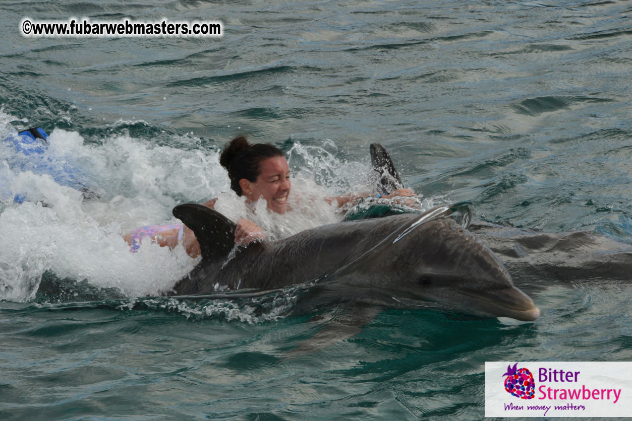 WireCard Dolphin Swim