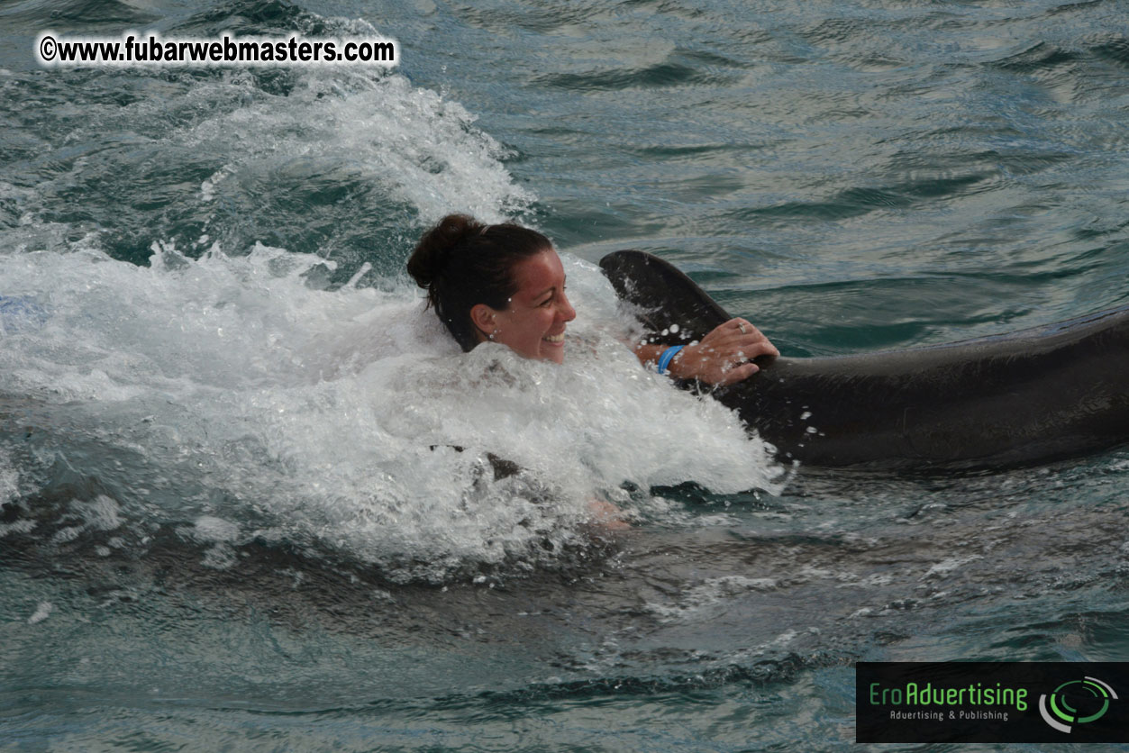 WireCard Dolphin Swim