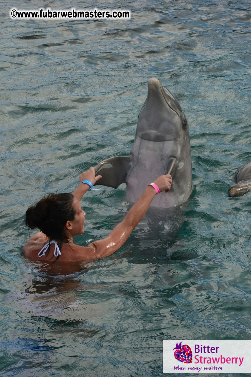 WireCard Dolphin Swim