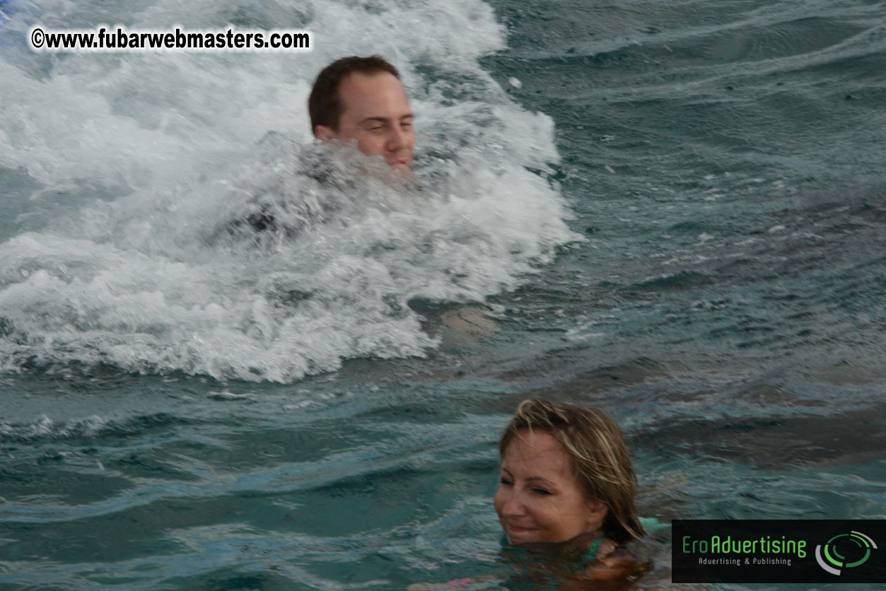 WireCard Dolphin Swim