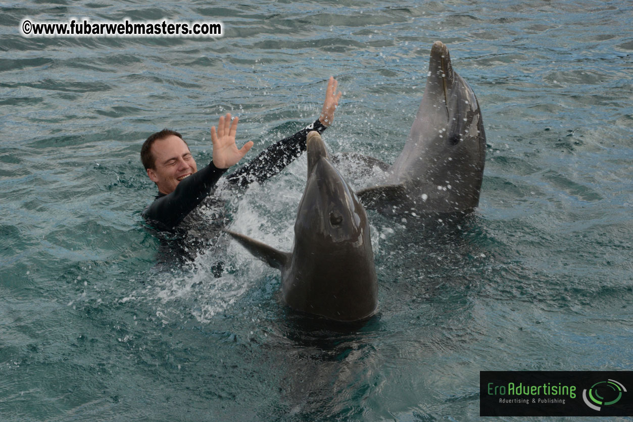 WireCard Dolphin Swim