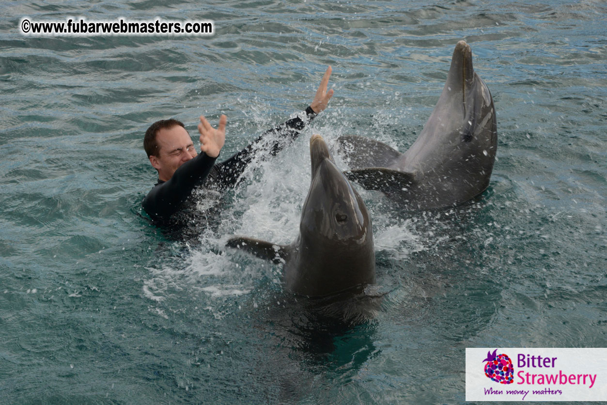 WireCard Dolphin Swim