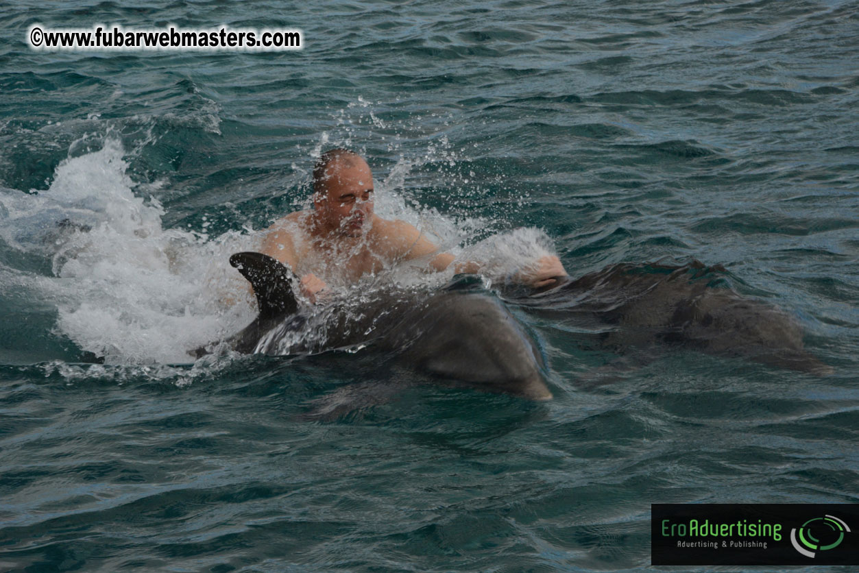 WireCard Dolphin Swim