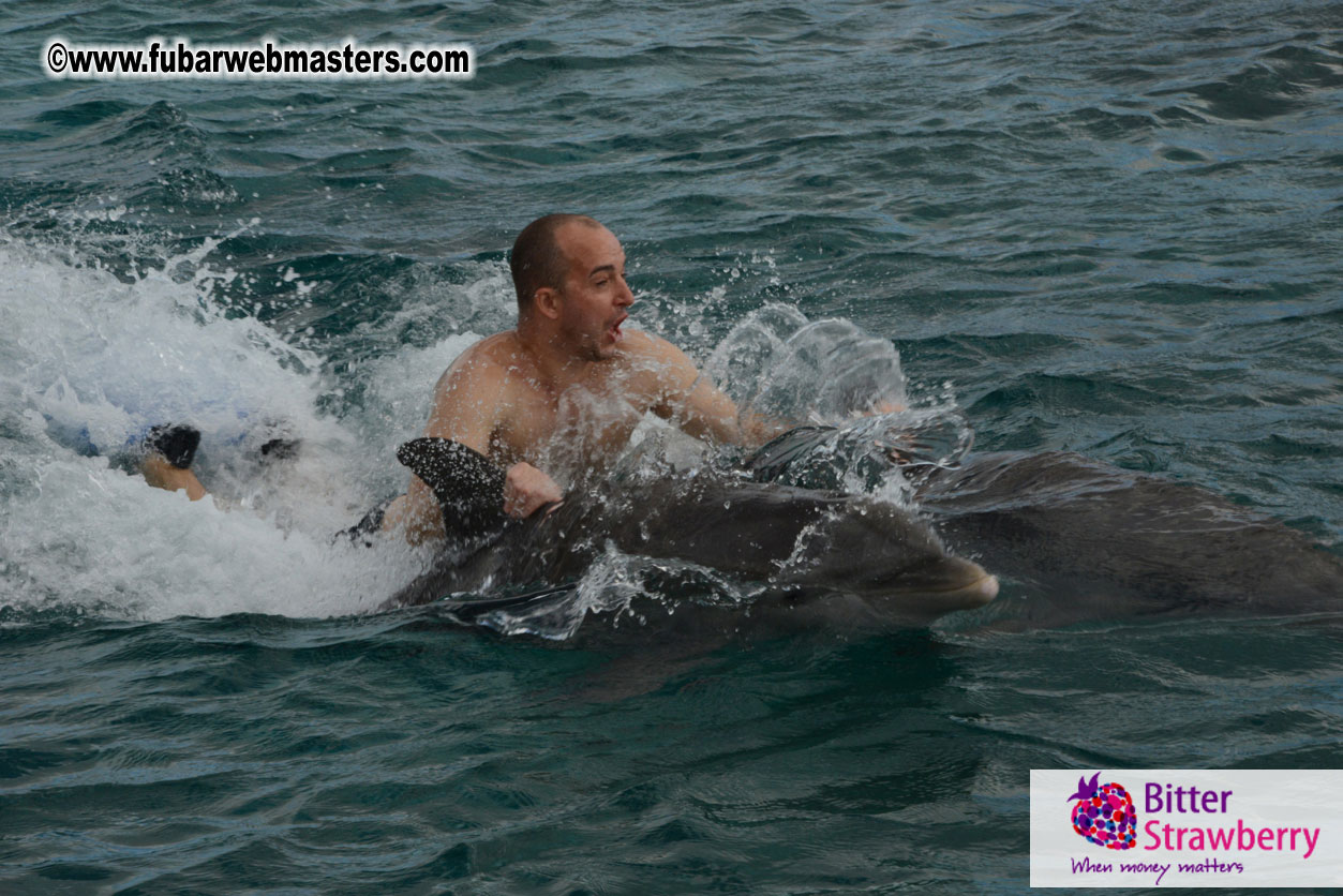 WireCard Dolphin Swim