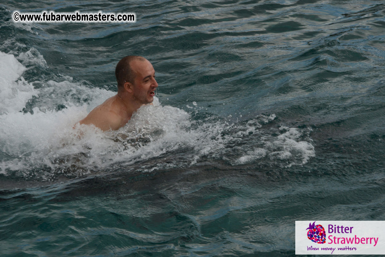 WireCard Dolphin Swim