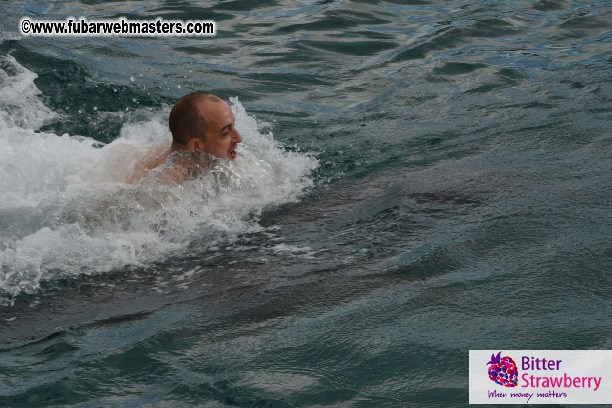 WireCard Dolphin Swim