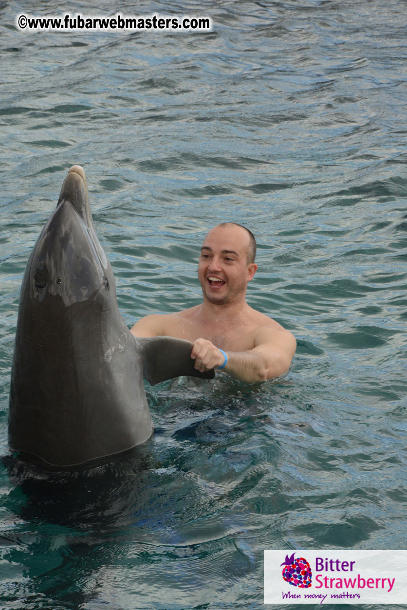 WireCard Dolphin Swim