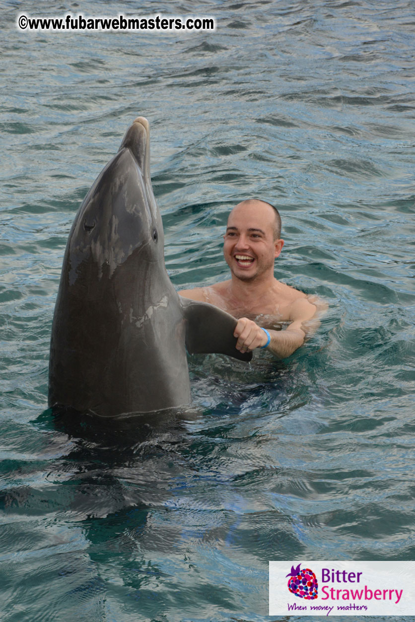 WireCard Dolphin Swim