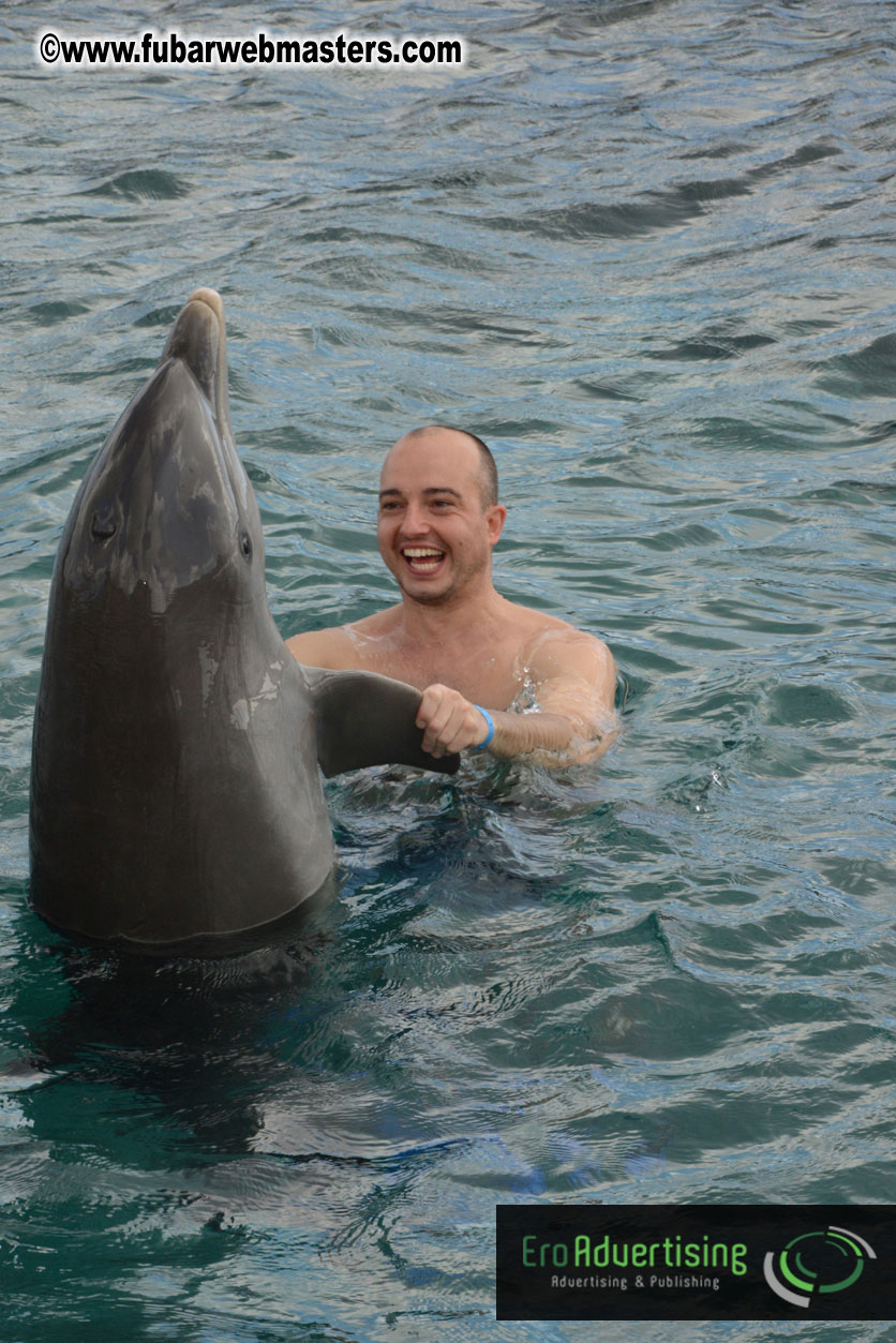 WireCard Dolphin Swim