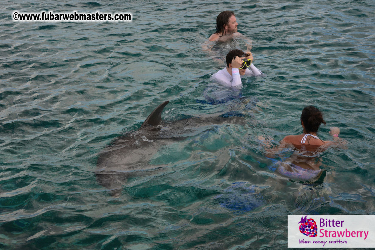 WireCard Dolphin Swim