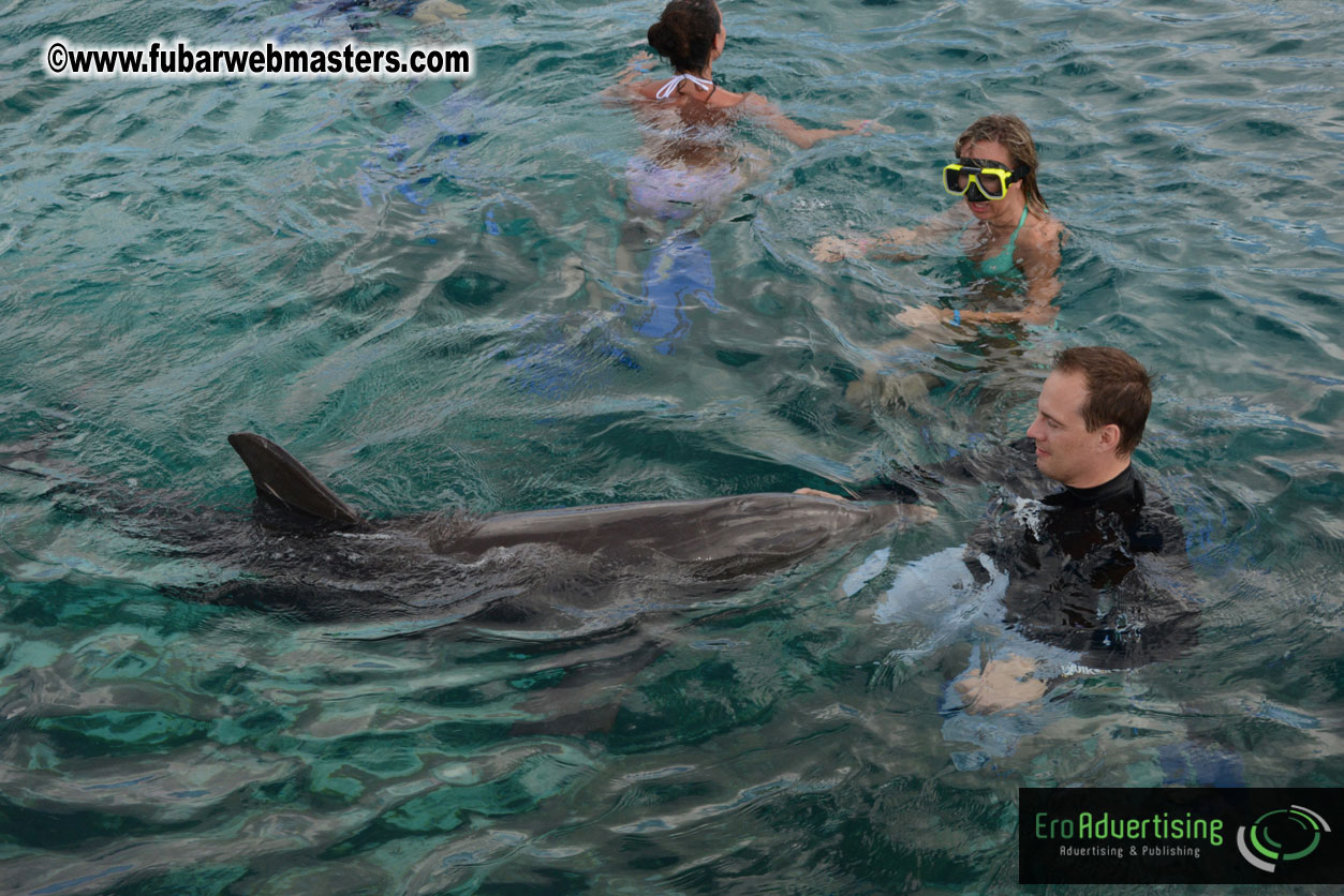 WireCard Dolphin Swim