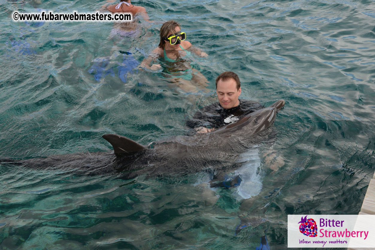 WireCard Dolphin Swim